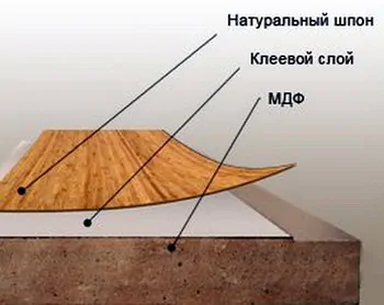 fanerovanie